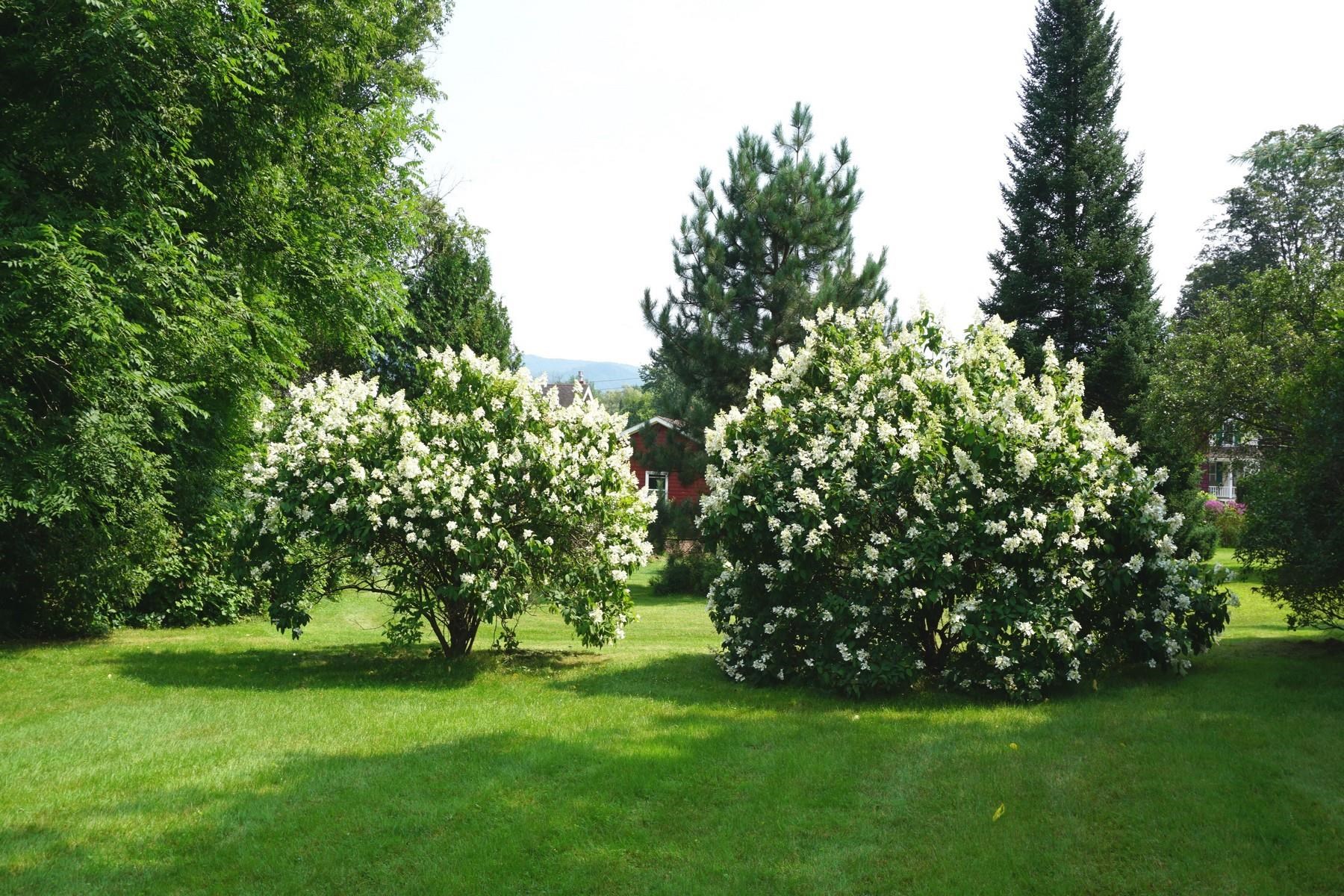 80 East Washington Street Rutland, VT 05701 - Photo 15 of 28