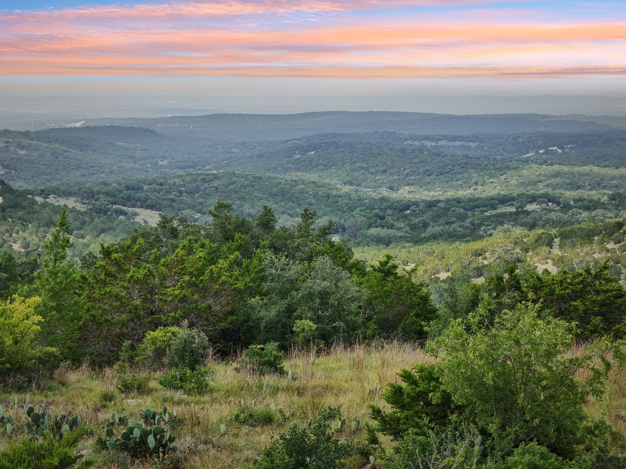 View of mountain backdrop with a forest