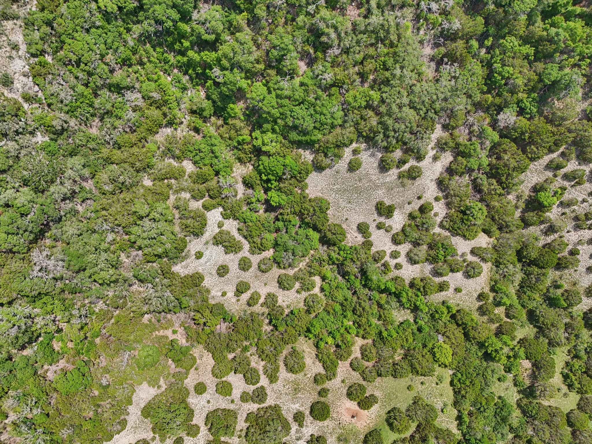 144 Cherokee Ridge Bertram, TX 78605 - Photo 15 of 32 View of property location