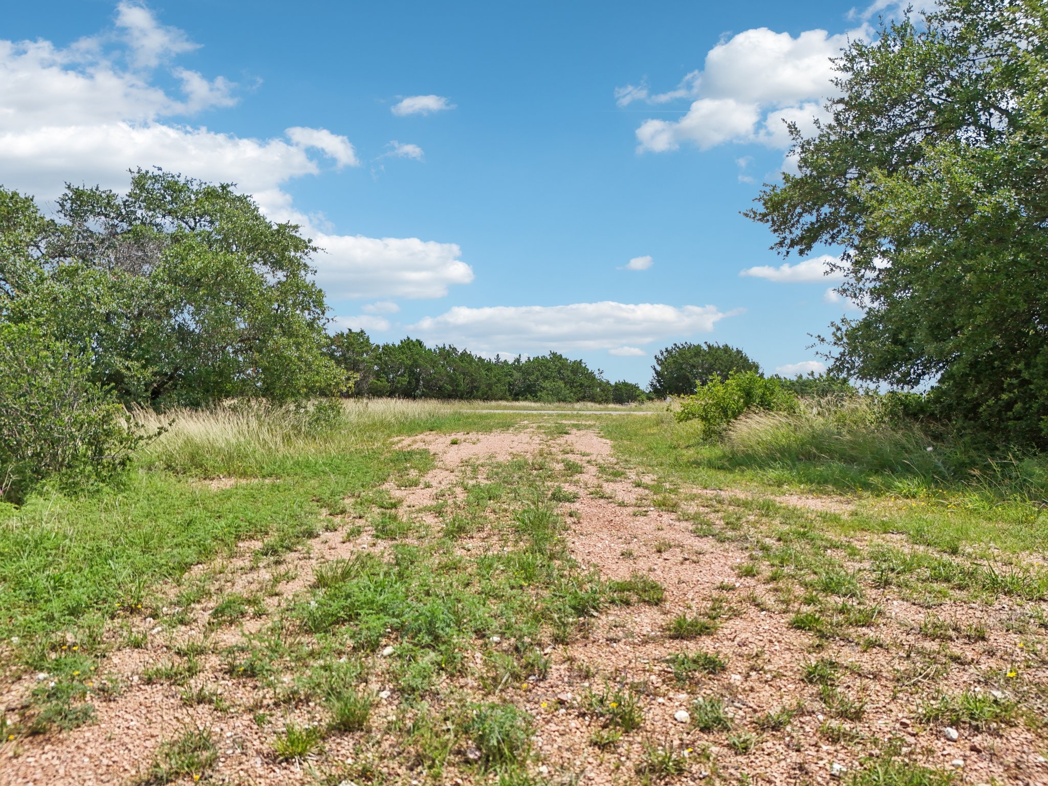 144 Cherokee Ridge Bertram, TX 78605 - Photo 26 of 32 View of local wilderness
