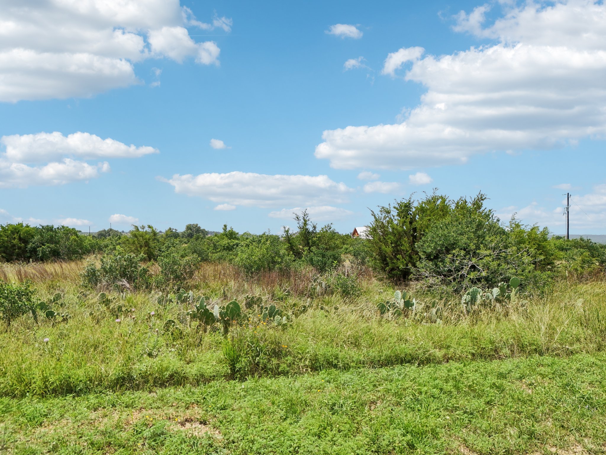 144 Cherokee Ridge Bertram, TX 78605 - Photo 29 of 32 View of undeveloped land