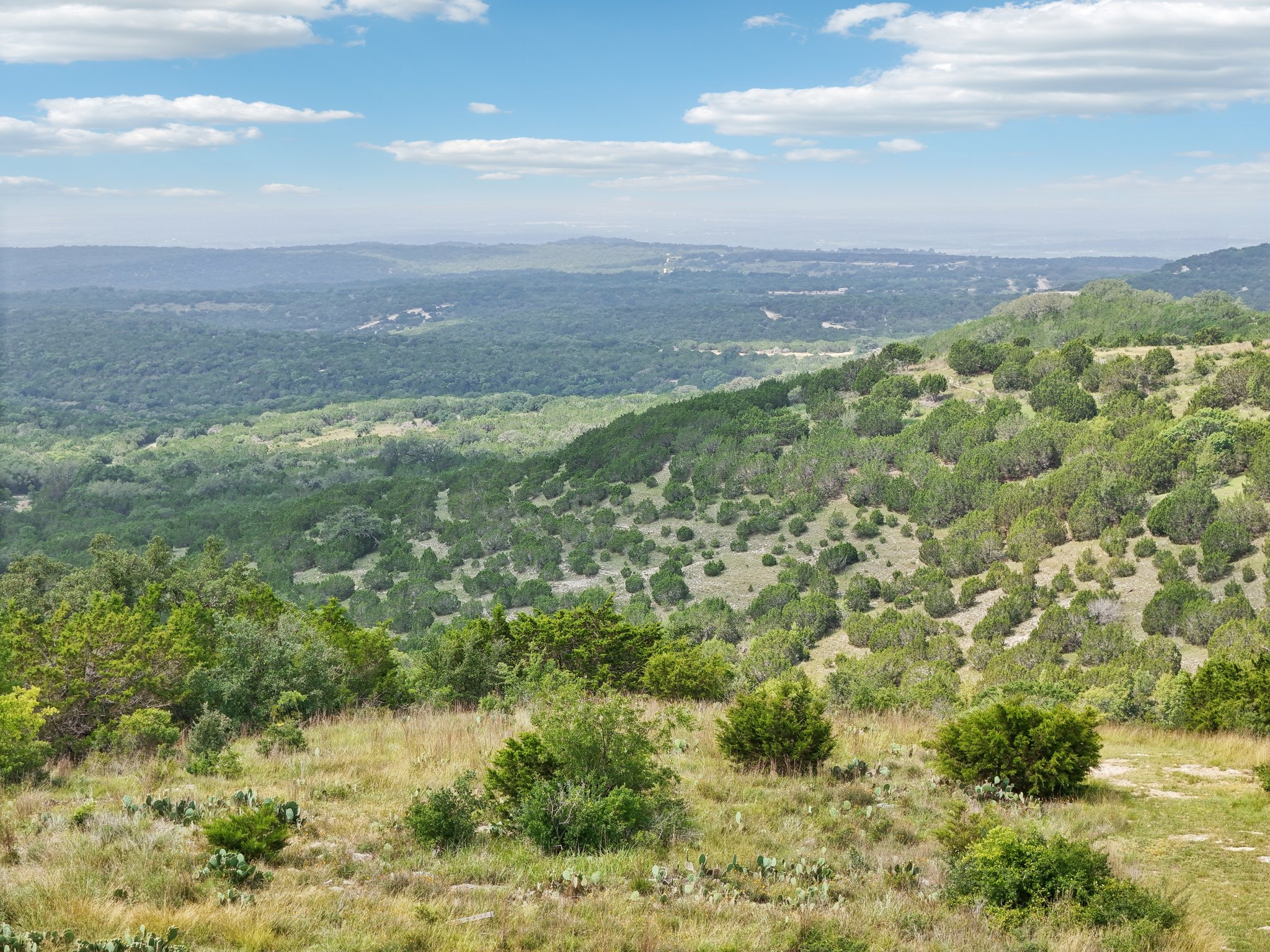 144 Cherokee Ridge Bertram, TX 78605 - Photo 32 of 32 View of mountain backdrop with a forest