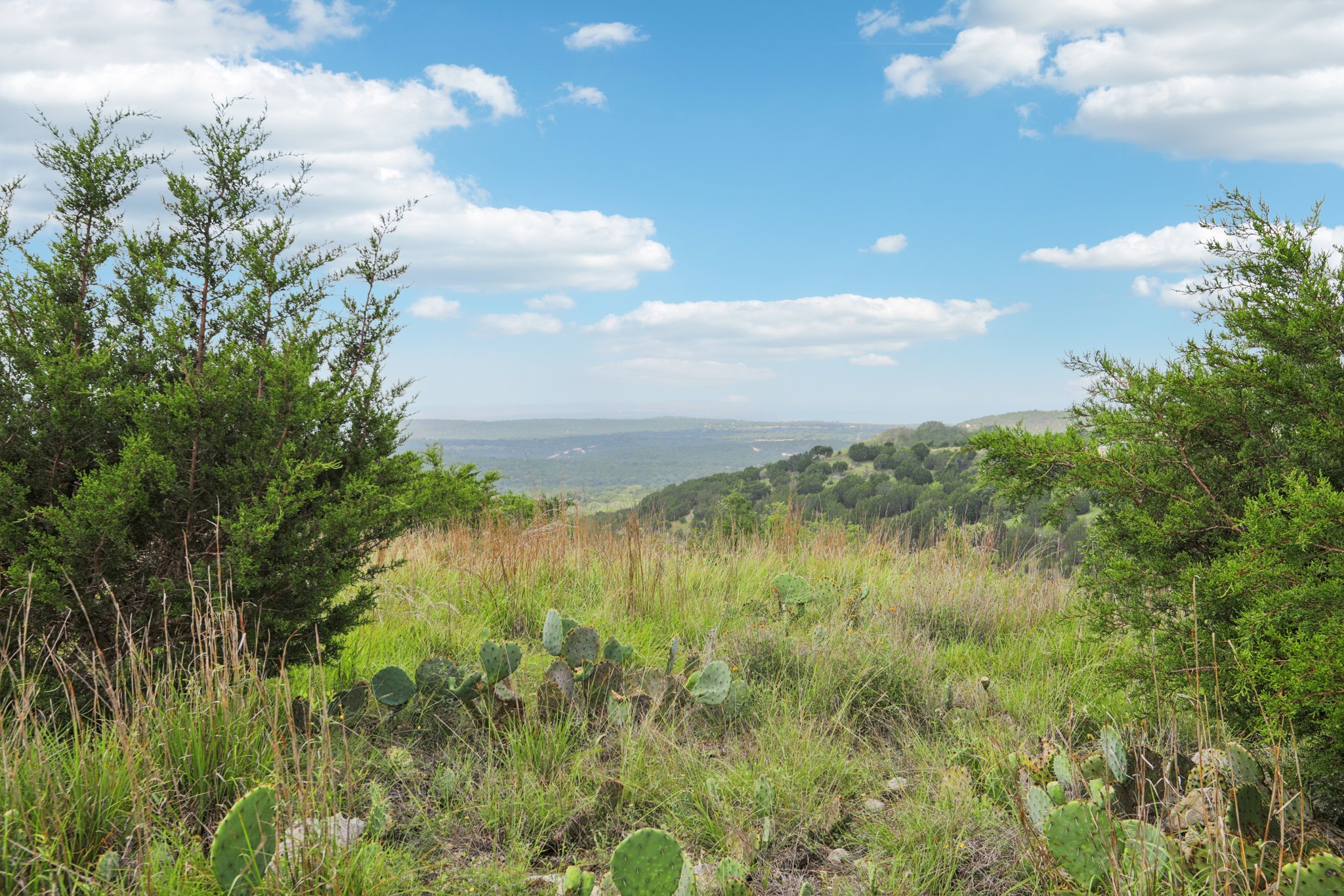 144 Cherokee Ridge Bertram, TX 78605 - Photo 5 of 32 View of mountain backdrop featuring a forest