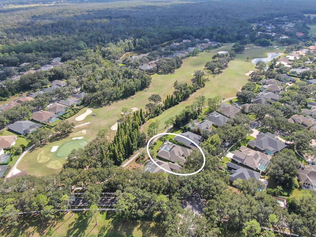 3504 Old Course Lane Valrico, FL 33596 - Photo 50 of 59 an aerial view of a house with a yard and lake view