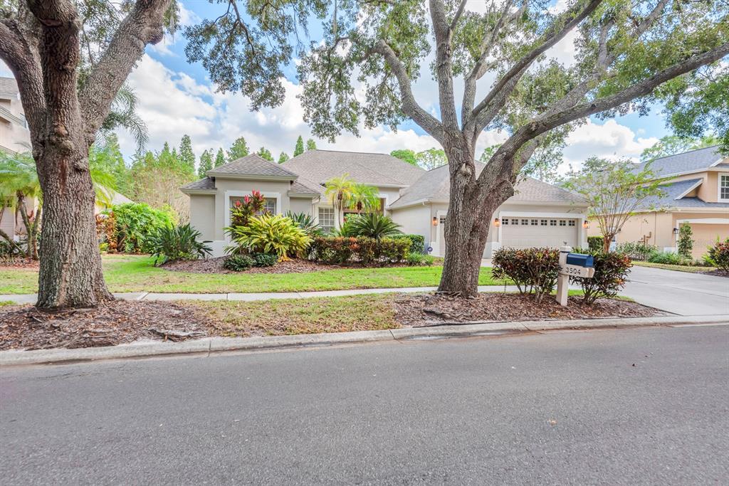 3504 Old Course Lane Valrico, FL 33596 - Photo 52 of 59 a view of a house with a big yard plants and large trees