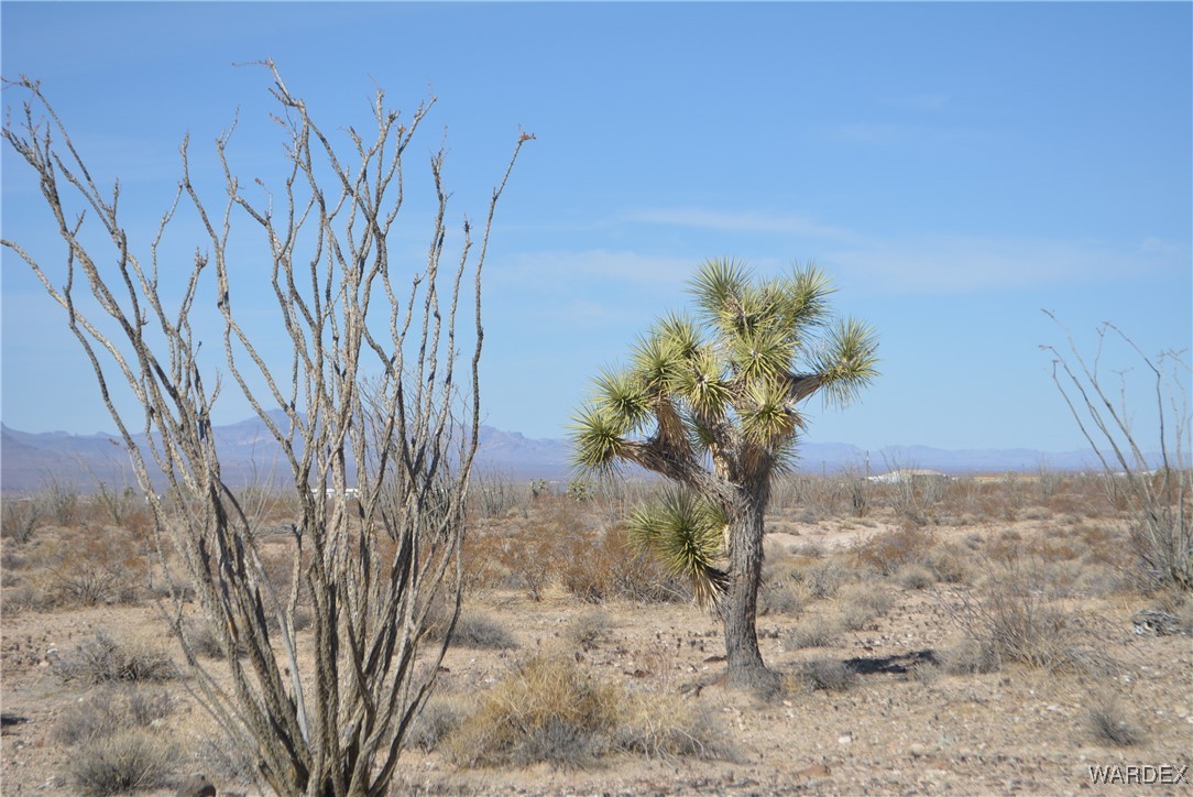 245-24-107 South Rainbow Road Yucca, AZ 86438 - Photo 60 of 91