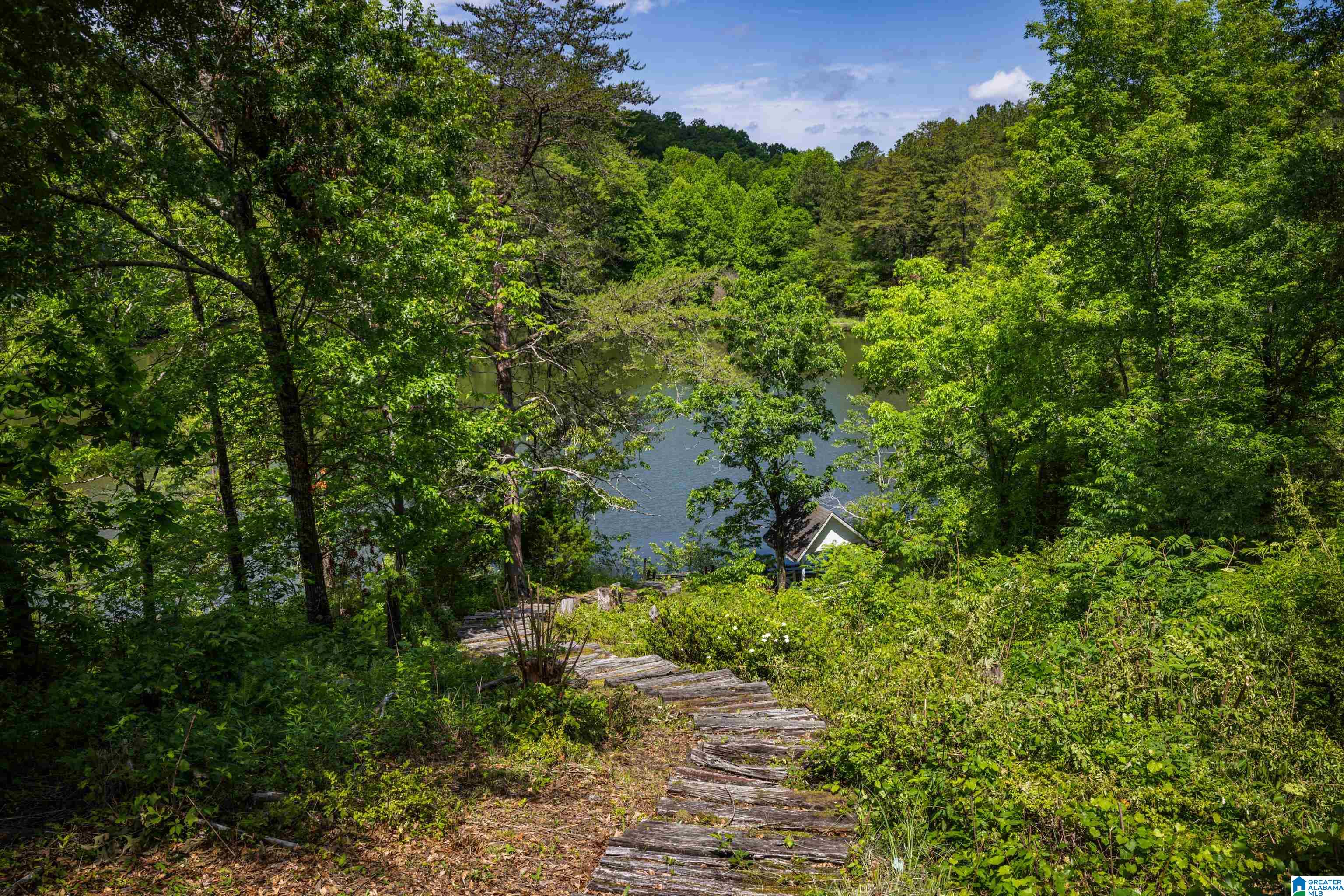 5750 Lake Side Road Leeds, AL 35094 - Photo 71 of 100