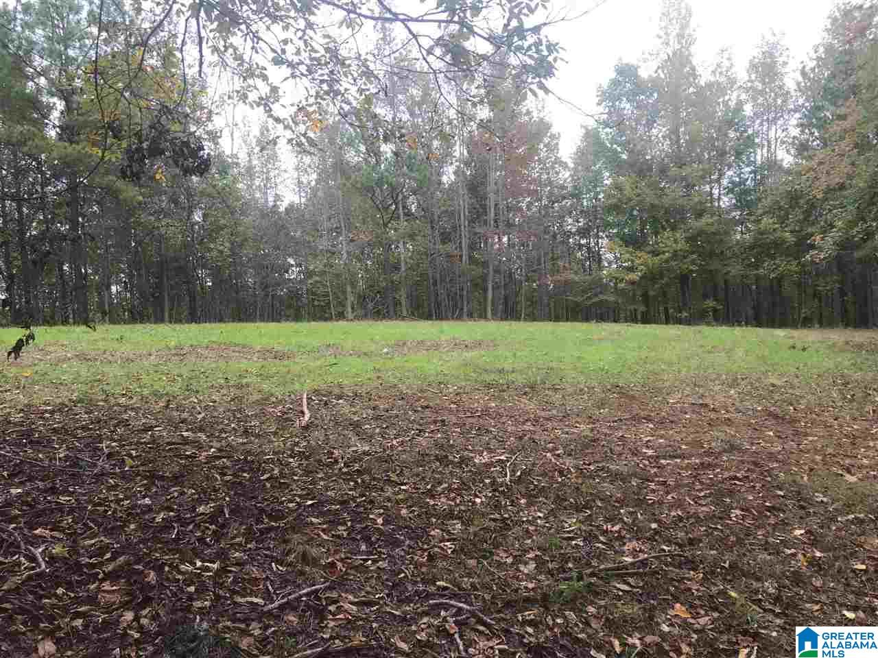 Fire Station Road, Unit 30 Ashland, AL 36251 - Photo 1 of 15