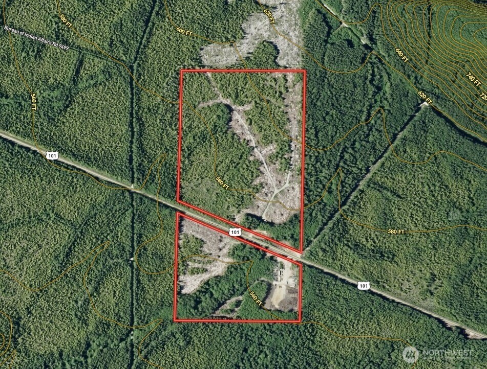 7507 Highway 101 Amanda Park, WA 98526 - Photo 13 of 30