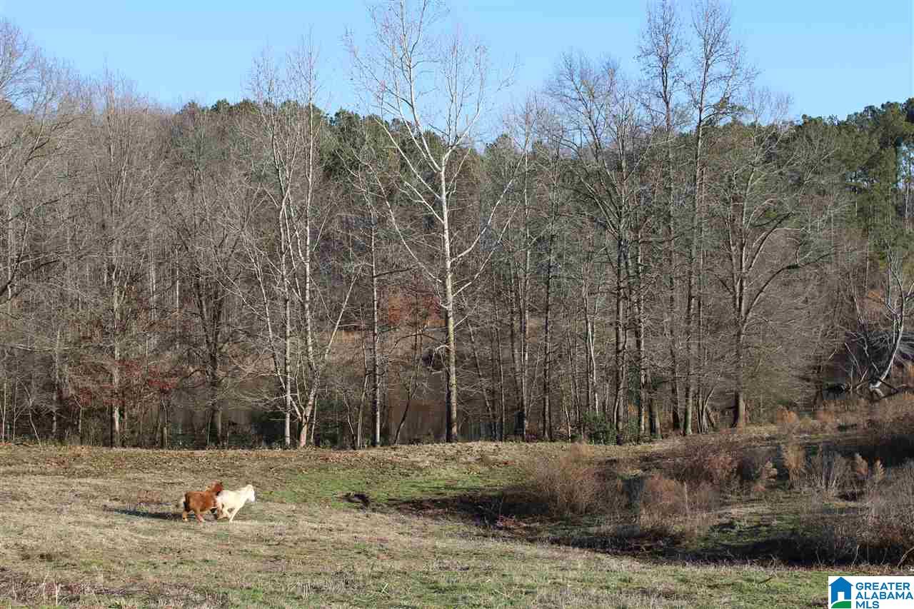 3601 Brookside Road Brilliant, AL 35548 - Photo 17 of 33