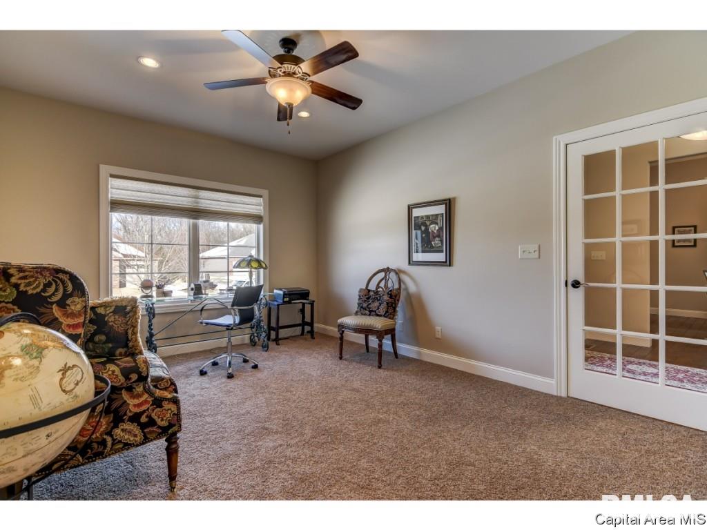 3816 Calla Lily Lane Springfield, IL 62711 - Photo 14 of 35