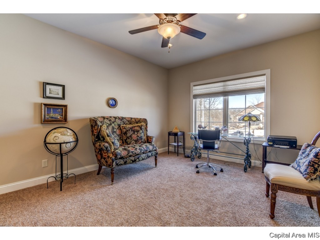 3816 Calla Lily Lane Springfield, IL 62711 - Photo 15 of 35