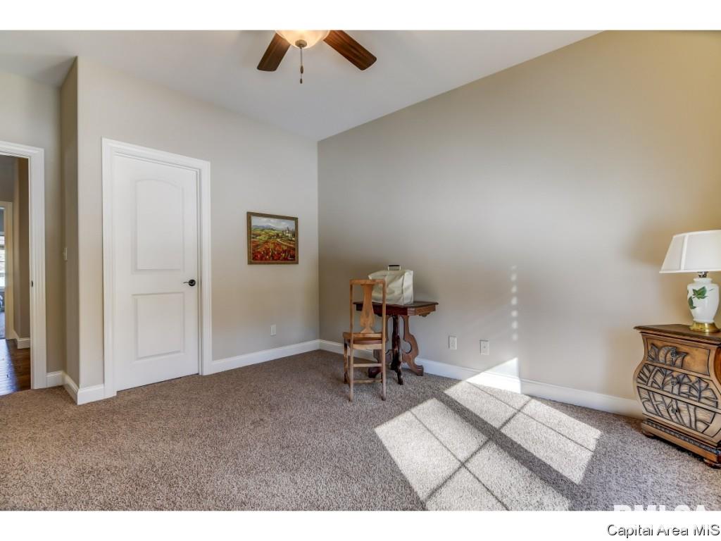 3816 Calla Lily Lane Springfield, IL 62711 - Photo 16 of 35
