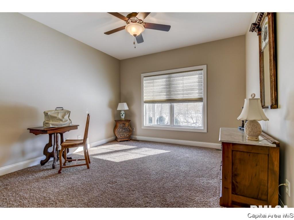 3816 Calla Lily Lane Springfield, IL 62711 - Photo 17 of 35