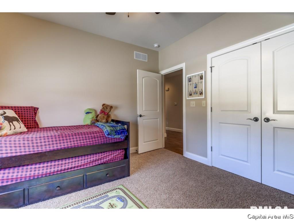 3816 Calla Lily Lane Springfield, IL 62711 - Photo 19 of 35
