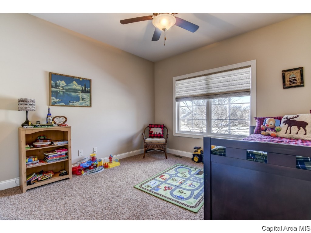 3816 Calla Lily Lane Springfield, IL 62711 - Photo 20 of 35