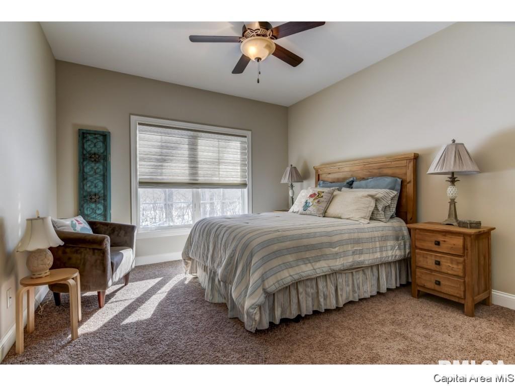 3816 Calla Lily Lane Springfield, IL 62711 - Photo 21 of 35