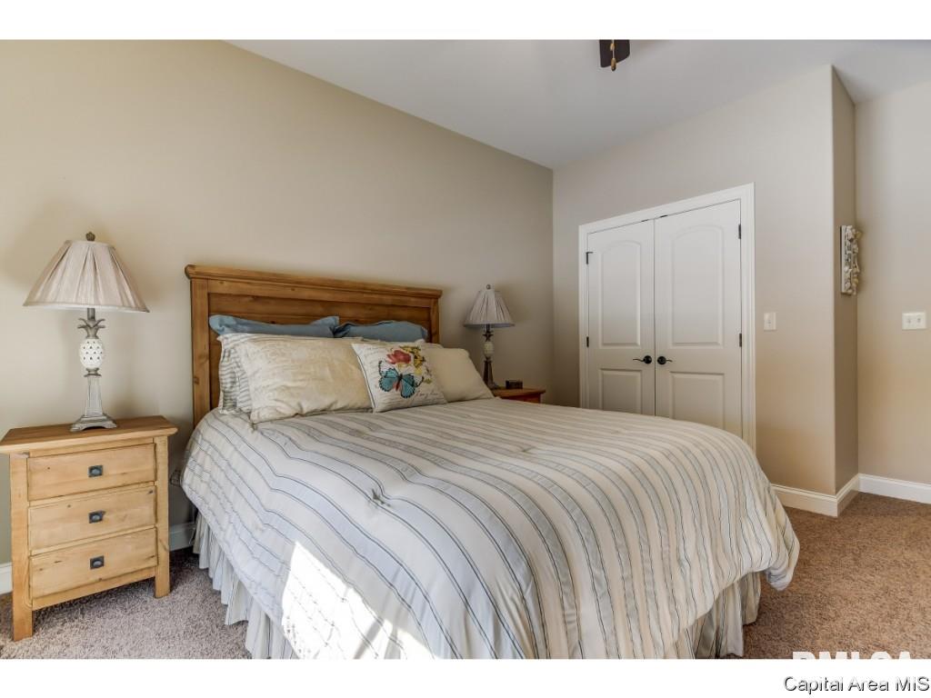 3816 Calla Lily Lane Springfield, IL 62711 - Photo 22 of 35