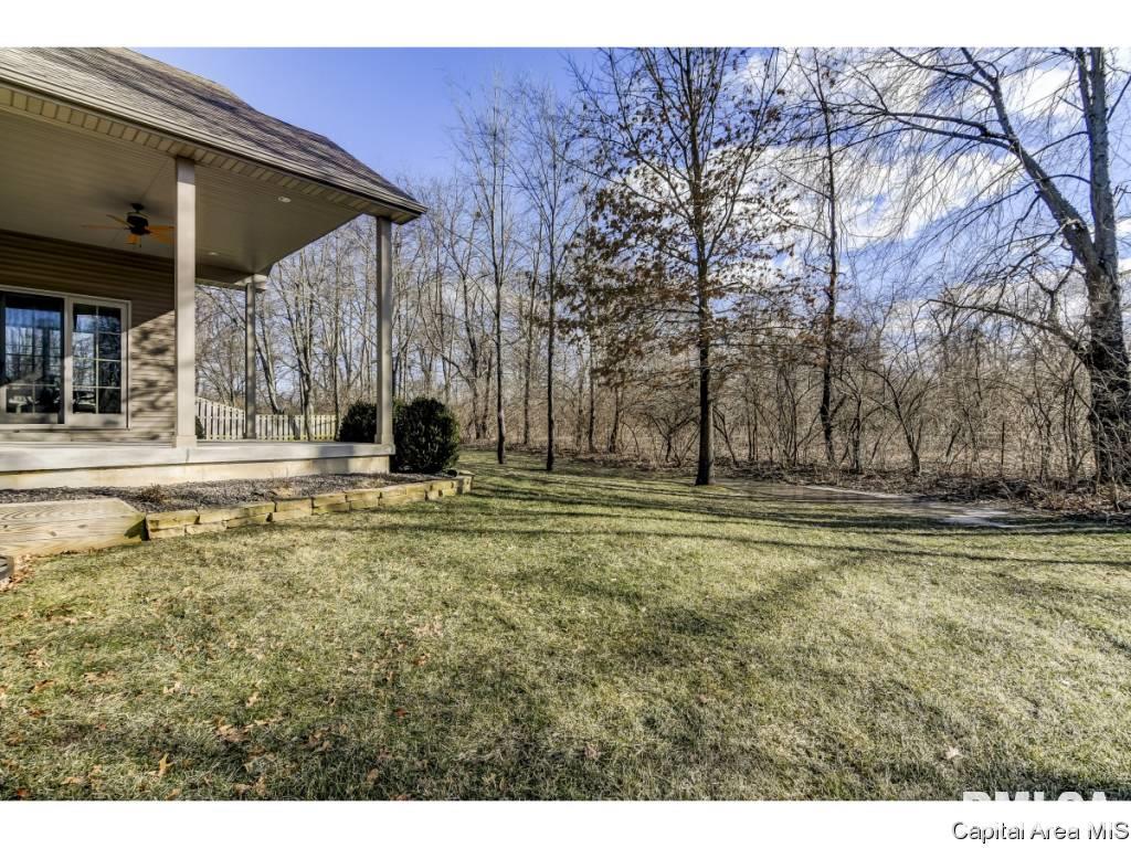 3816 Calla Lily Lane Springfield, IL 62711 - Photo 34 of 35