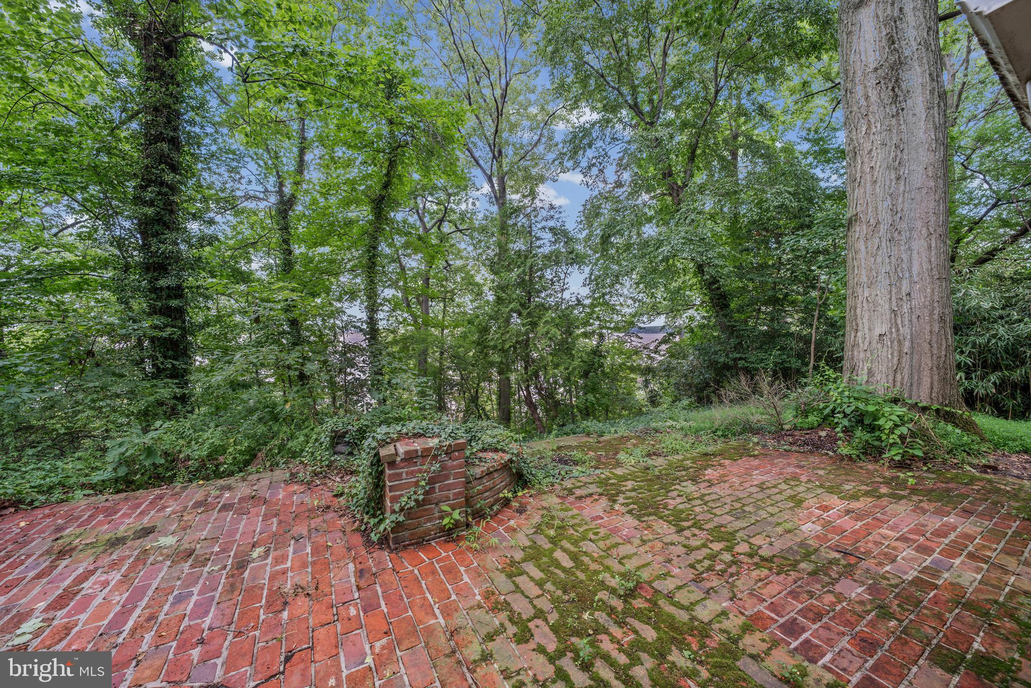 1645 Elk Forest Road Elkton, MD 21921 - Photo 18 of 31 Gallery Image 18
