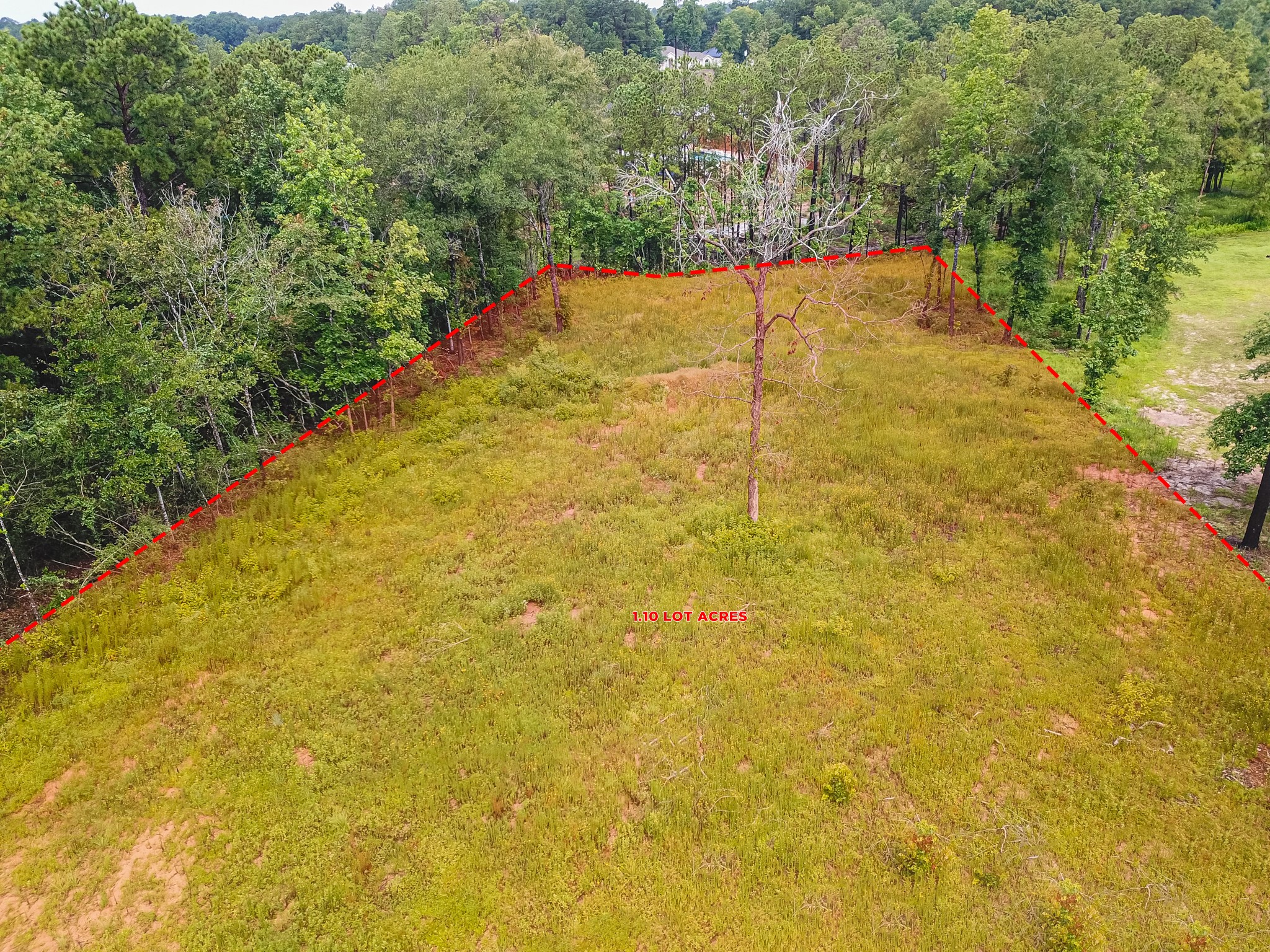 18332 Wisp Willow Way Porter, TX 77365 - Photo 21 of 48 a view of yard