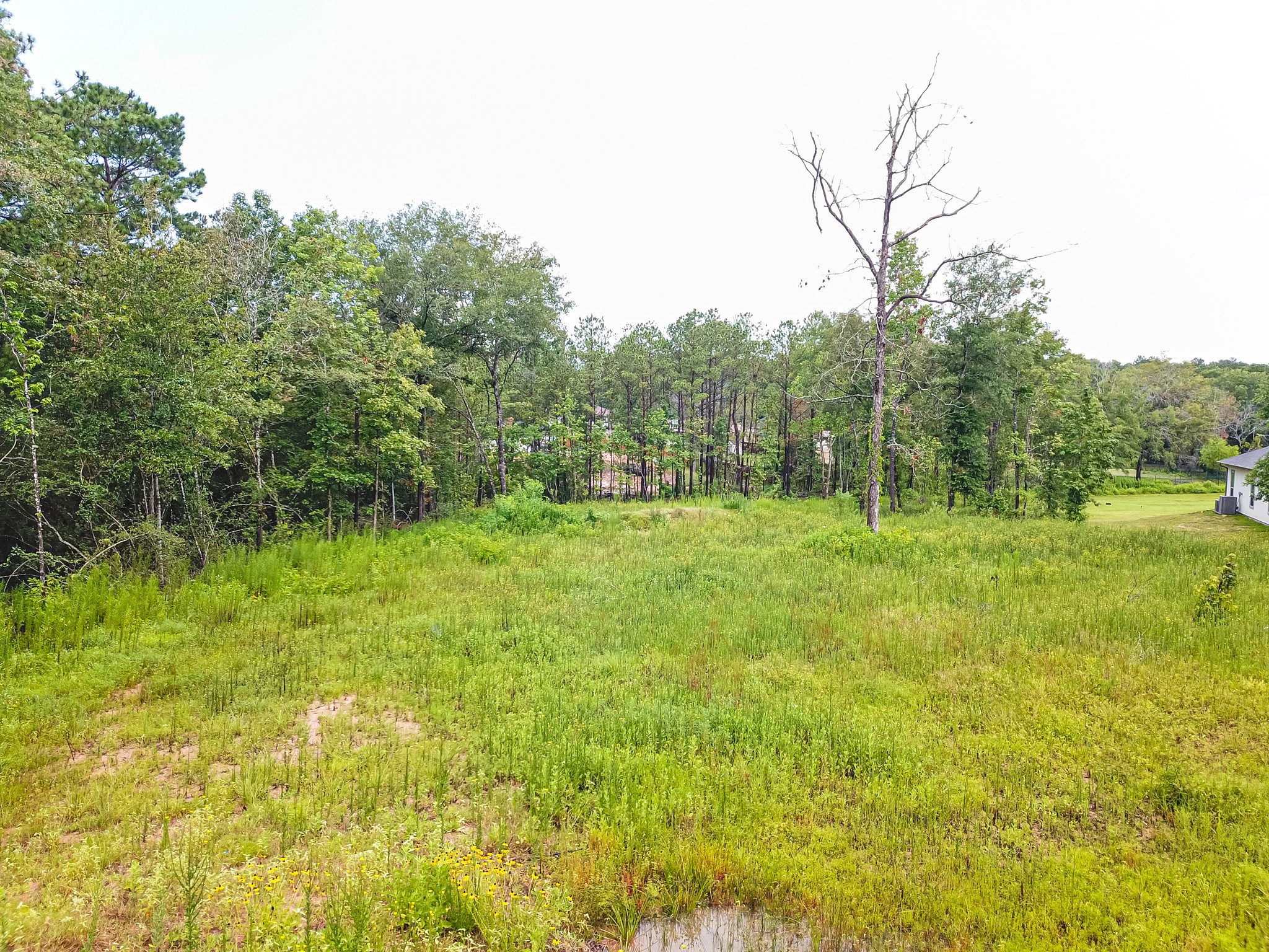 18332 Wisp Willow Way Porter, TX 77365 - Photo 40 of 48 a view of outdoor space and yard