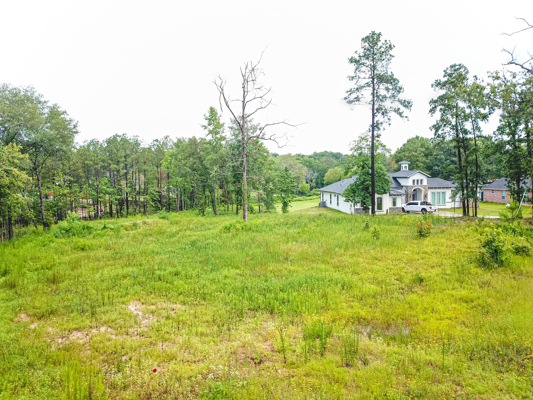 18332 Wisp Willow Way Porter, TX 77365 - Photo 41 of 48 a view of a golf course with a park