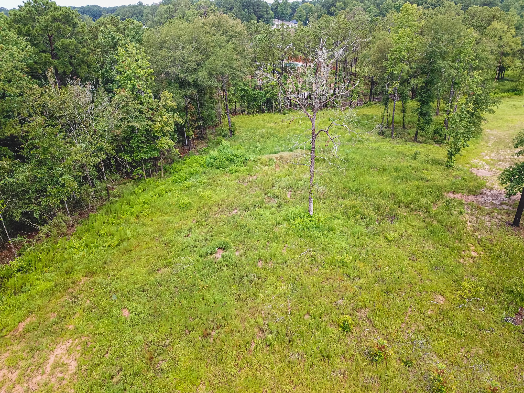 18332 Wisp Willow Way Porter, TX 77365 - Photo 43 of 48 a view of a garden with a tree