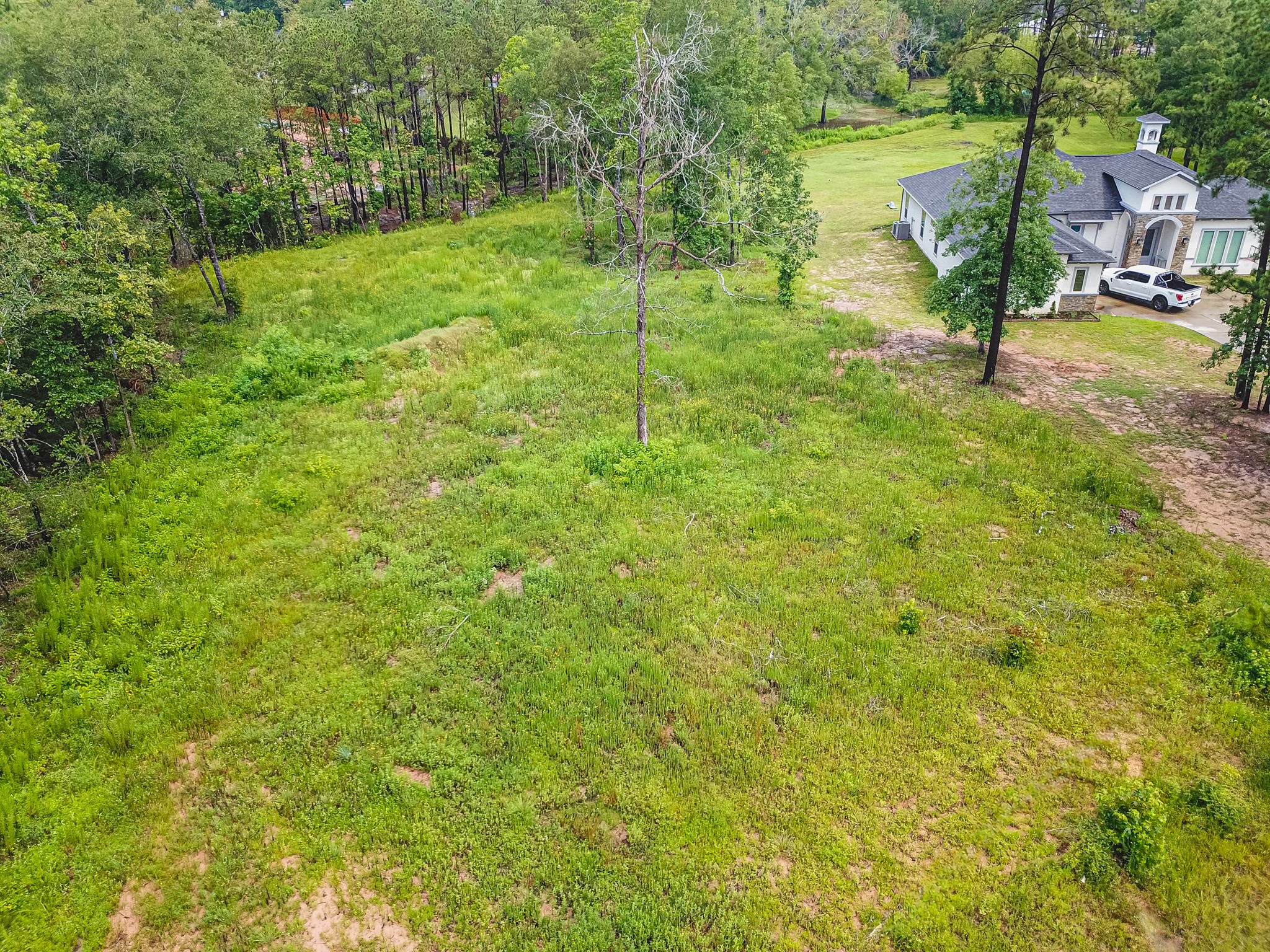18332 Wisp Willow Way Porter, TX 77365 - Photo 44 of 48 a view of a garden