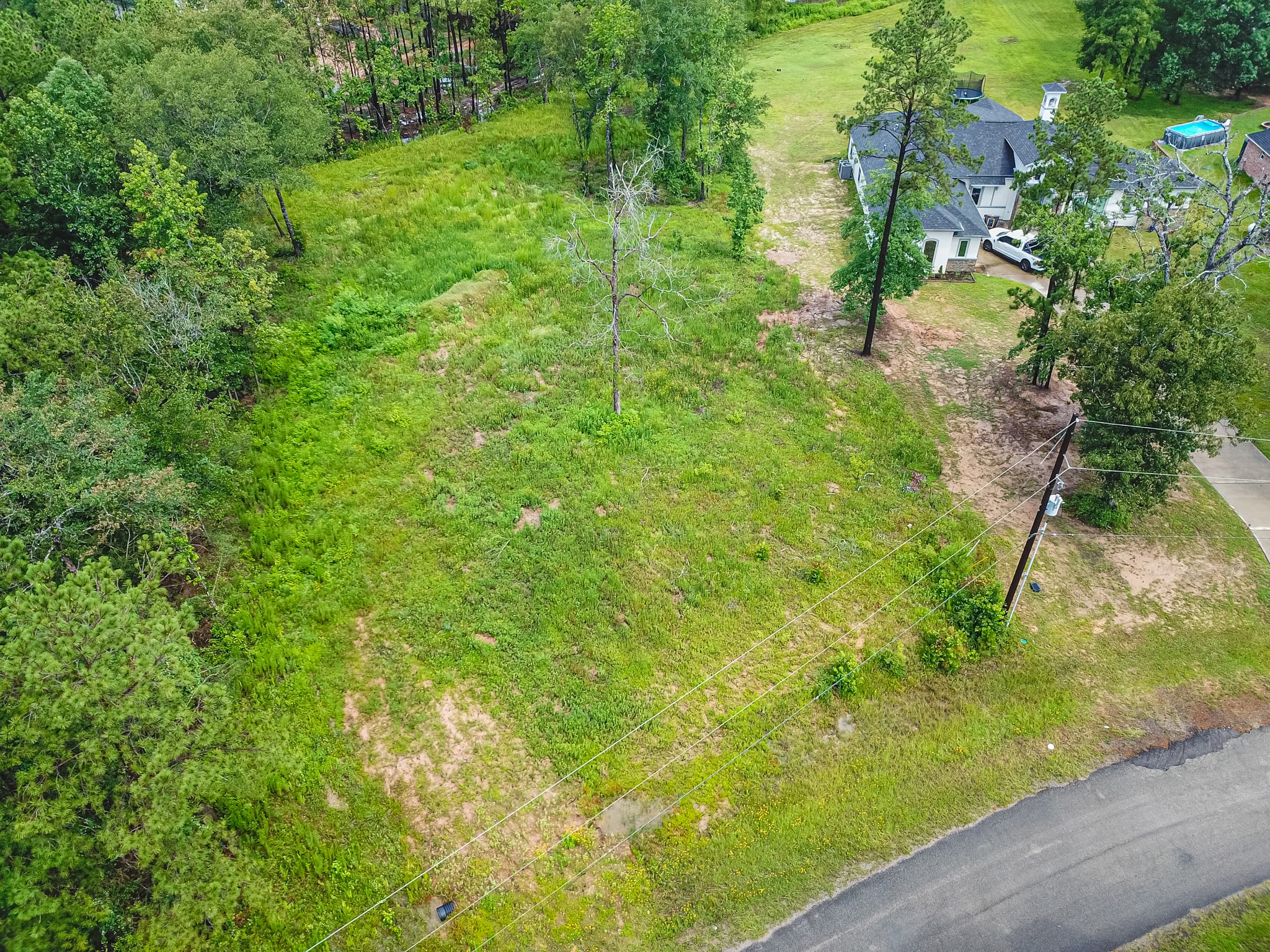 18332 Wisp Willow Way Porter, TX 77365 - Photo 45 of 48 a view of a garden