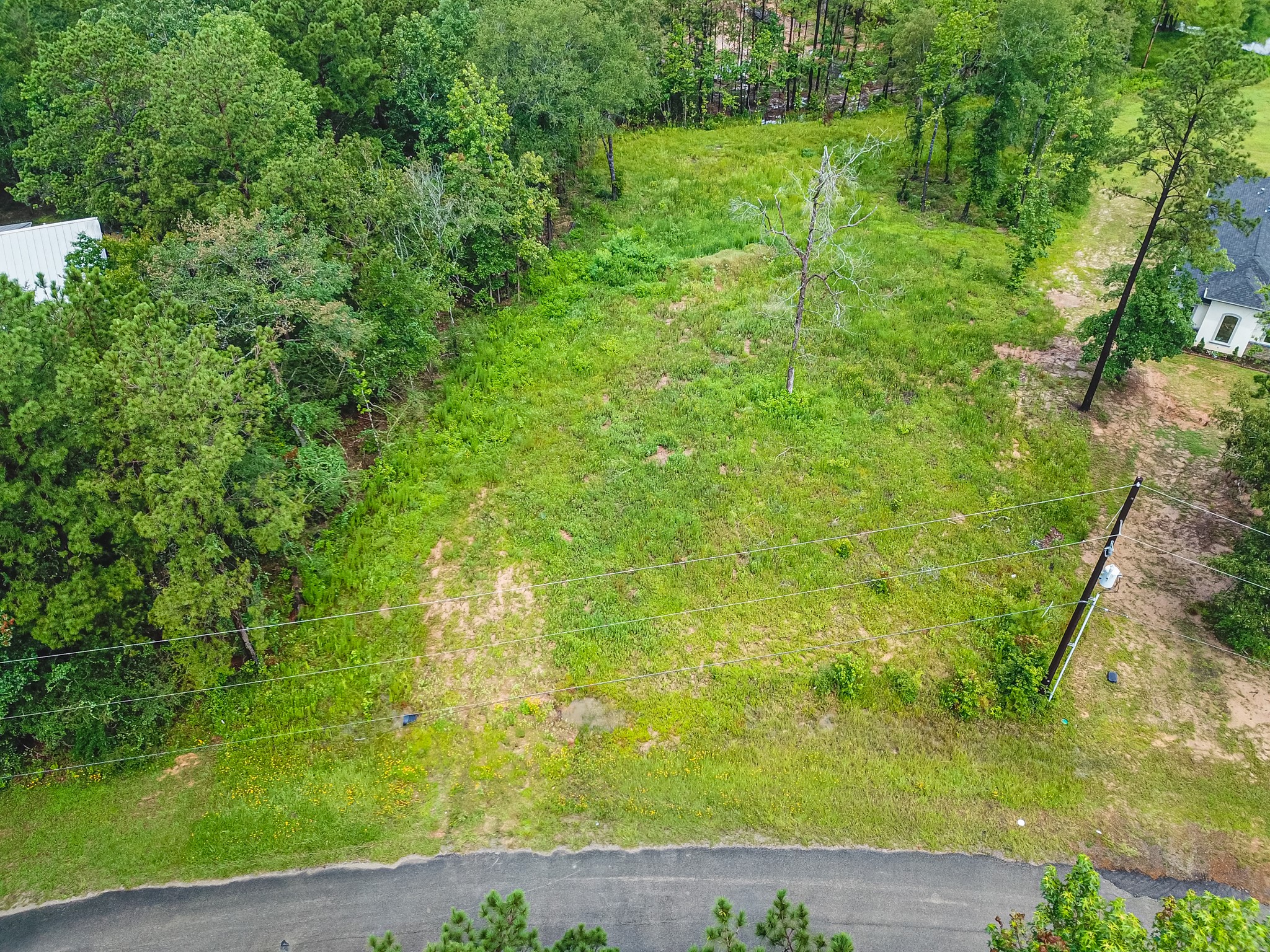 18332 Wisp Willow Way Porter, TX 77365 - Photo 46 of 48 a view of yard with green space