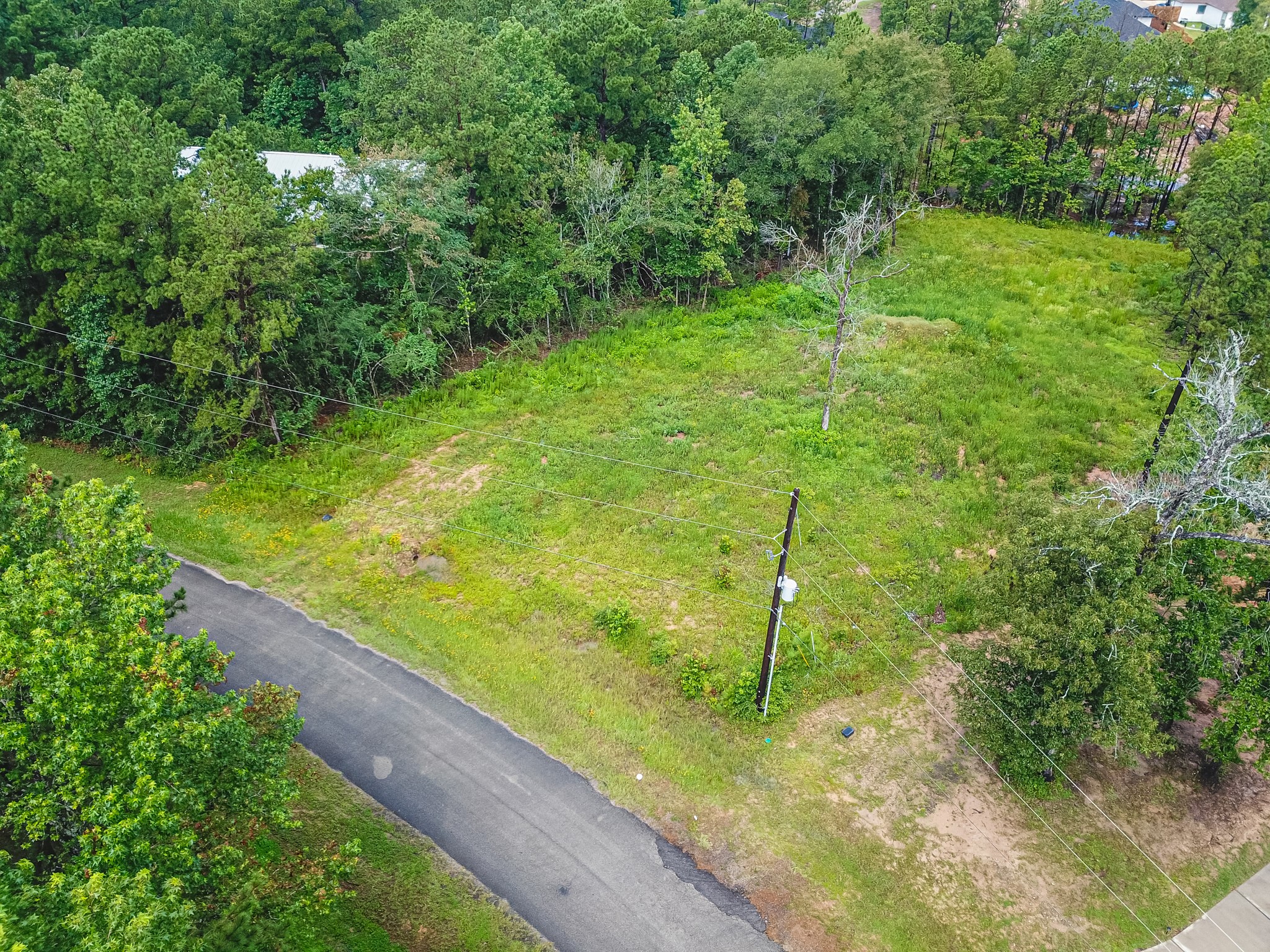 18332 Wisp Willow Way Porter, TX 77365 - Photo 47 of 48 a backyard of a house with lots of green space