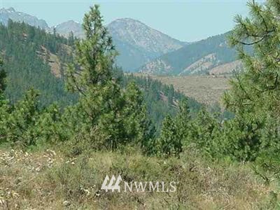 5 Rodeo Trail Winthrop, WA 98862 - Photo 1 of 1 Gallery Image 1