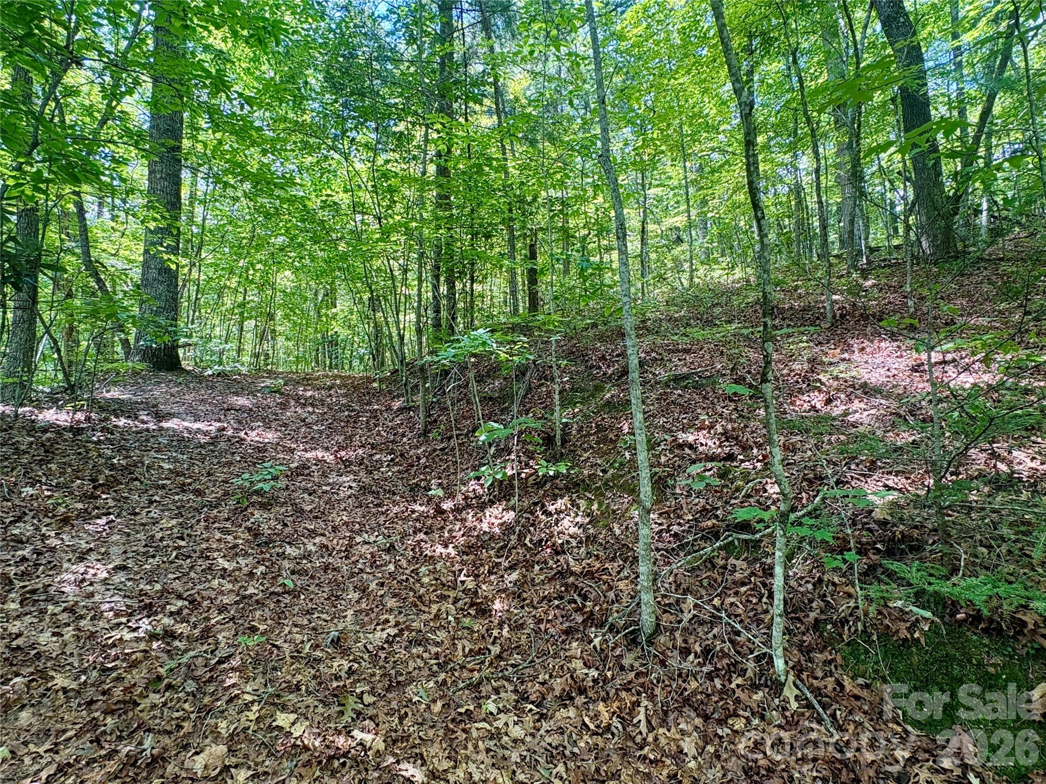 0 Watia Road Bryson City, NC 28713 - Photo 5 of 12 Gallery Image 5