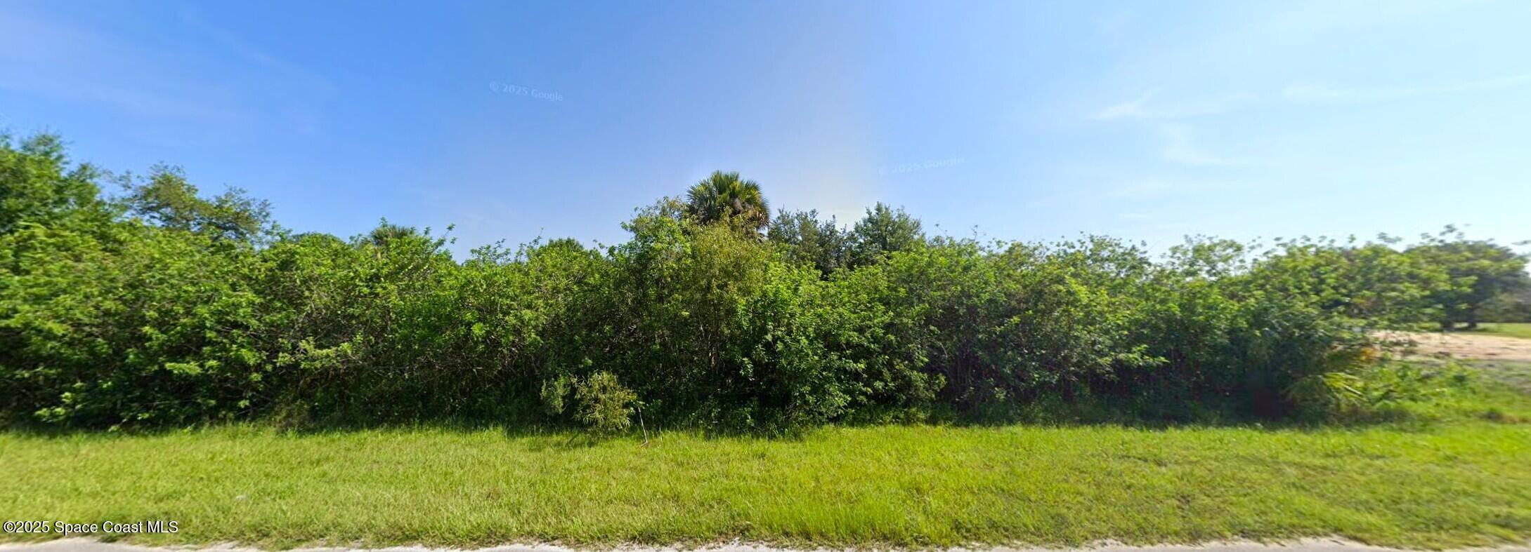 154 Deer Run Road Palm Bay, FL 32909 - Photo 3 of 5 a view of a garden
