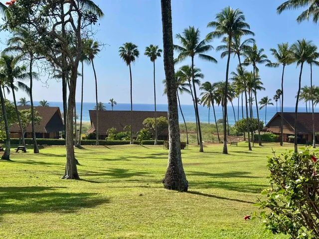 a swimming pool with lots of palm trees