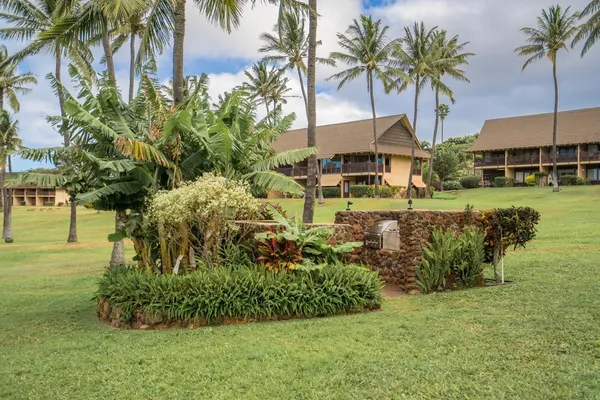 a view of a garden