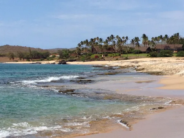 a view of a yard with ocean view