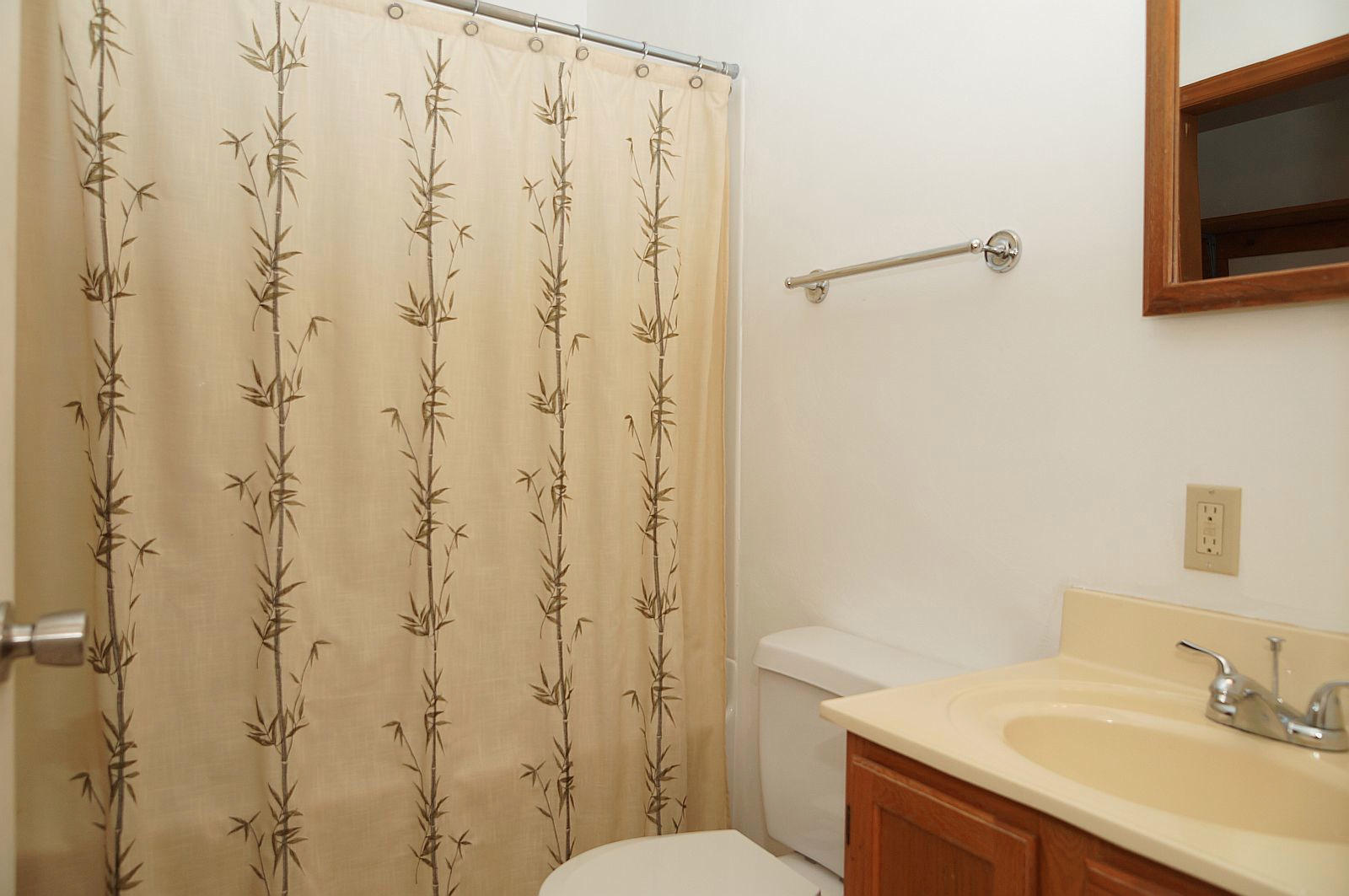 35 Oak Leaf Drive Blue Ridge, VA 24064 - Photo 22 of 36 a bathroom with a sink a toilet and shower