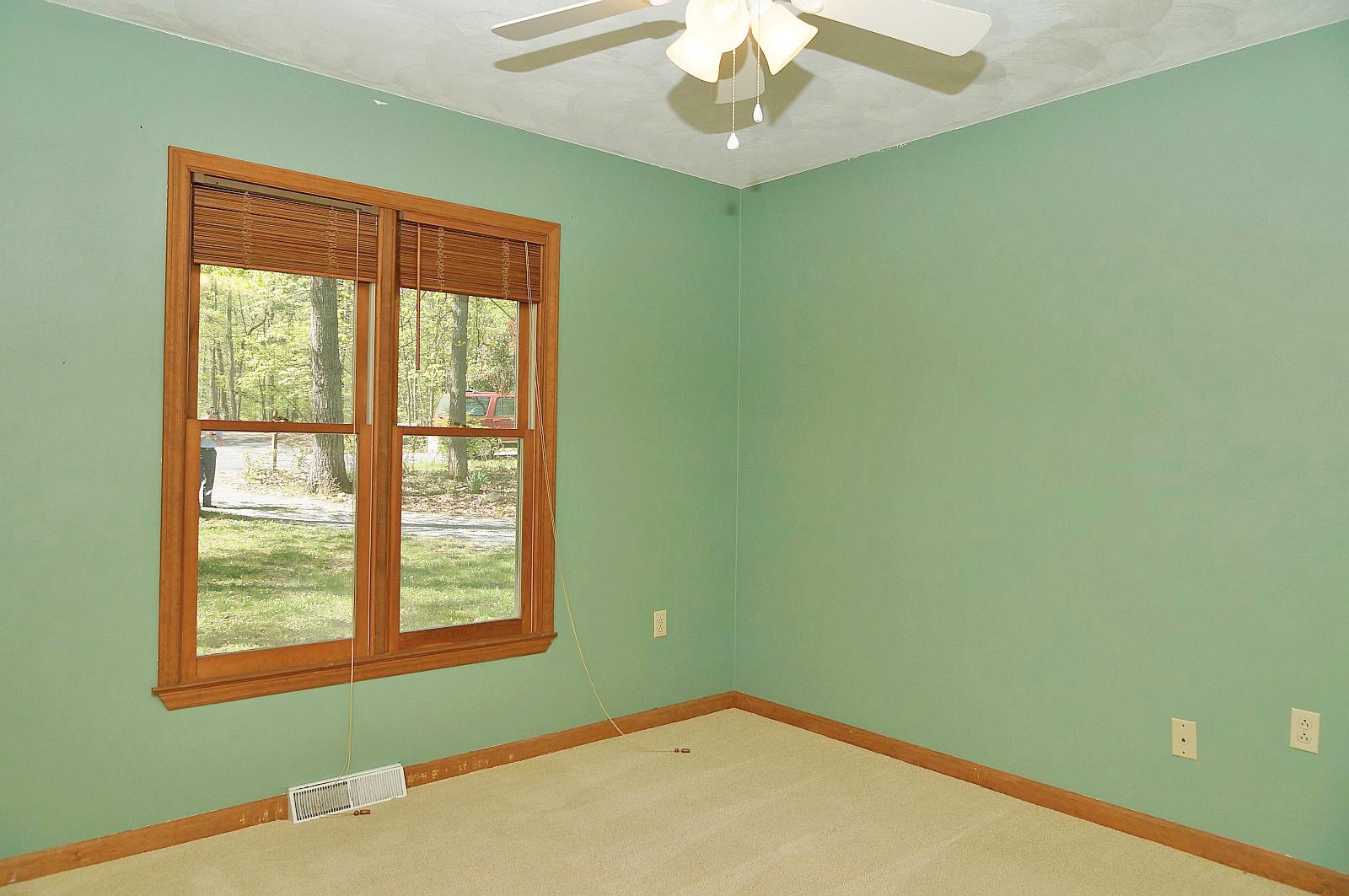 35 Oak Leaf Drive Blue Ridge, VA 24064 - Photo 24 of 36 a view of empty room with window