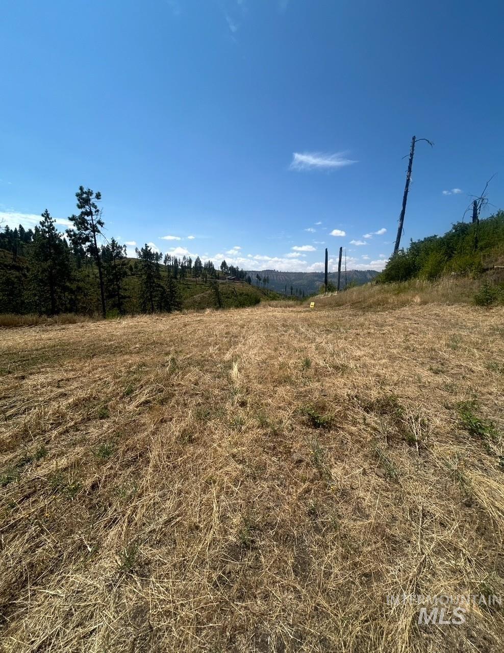 355 Glenwood Road Kamiah, ID 83536 - Photo 10 of 12