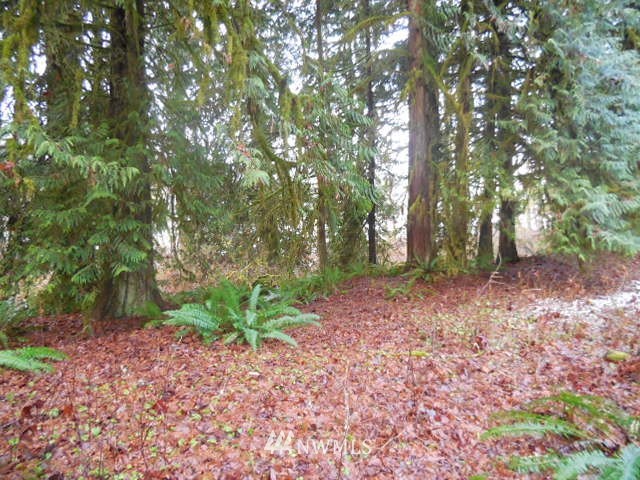 0 Sauk Store Road Concrete, WA 98237 - Photo 11 of 16 Gallery Image 11