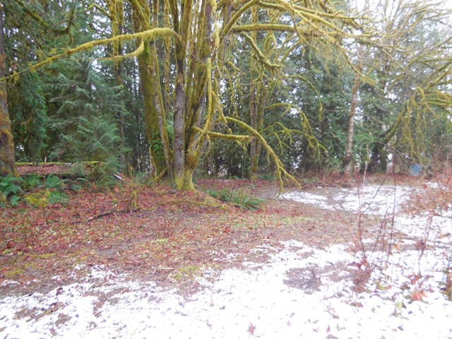 0 Sauk Store Road Concrete, WA 98237 - Photo 12 of 16 Gallery Image 12