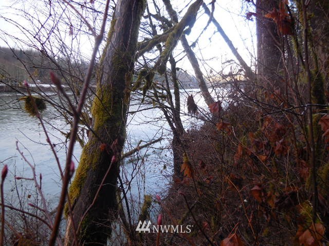 0 Sauk Store Road Concrete, WA 98237 - Photo 15 of 16 Gallery Image 15