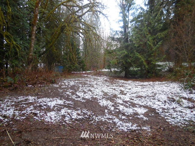 0 Sauk Store Road Concrete, WA 98237 - Photo 16 of 16 Gallery Image 16