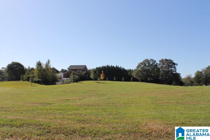 3258 Youngs Mill Road Lineville, AL 36266 - Photo 33 of 50