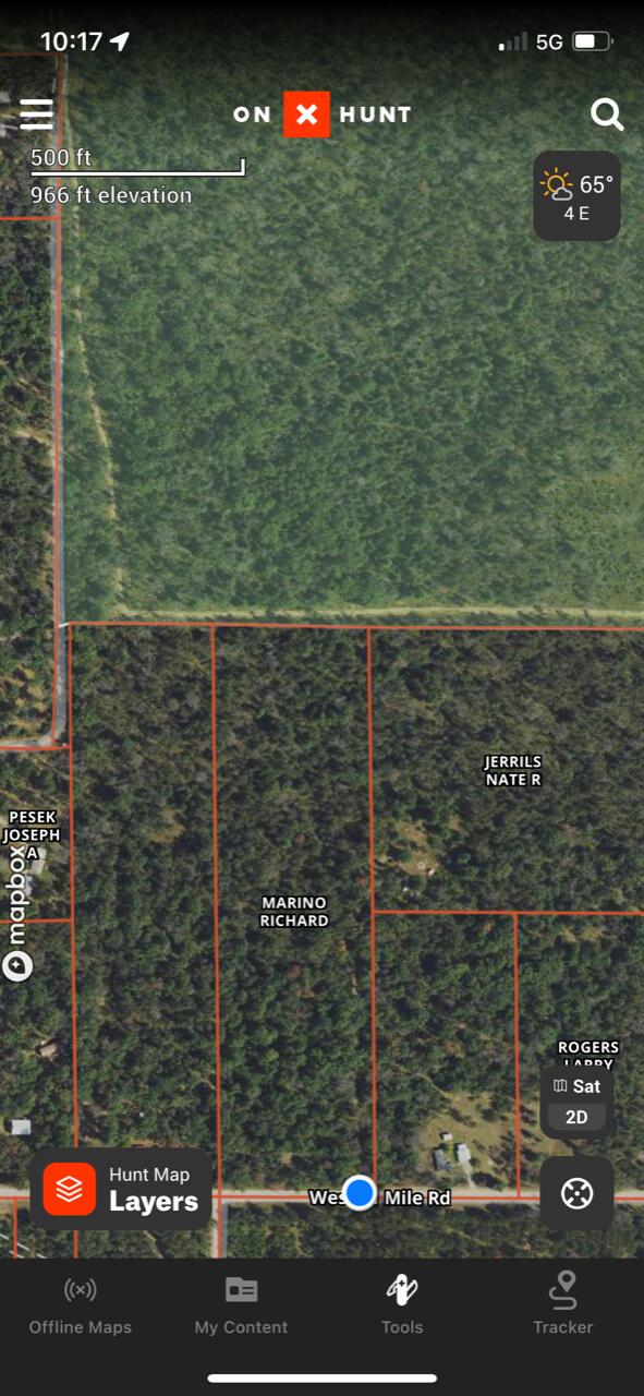 11 11 Mile Road Irons, MI 49644 - Photo 11 of 11 IMG_1075