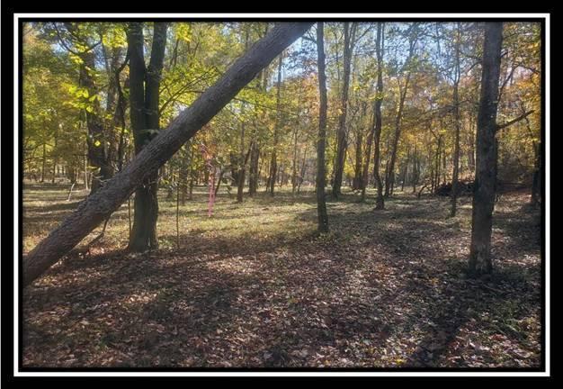 28161 Wheelabout Road McArthur, OH 45651 - Photo 13 of 27