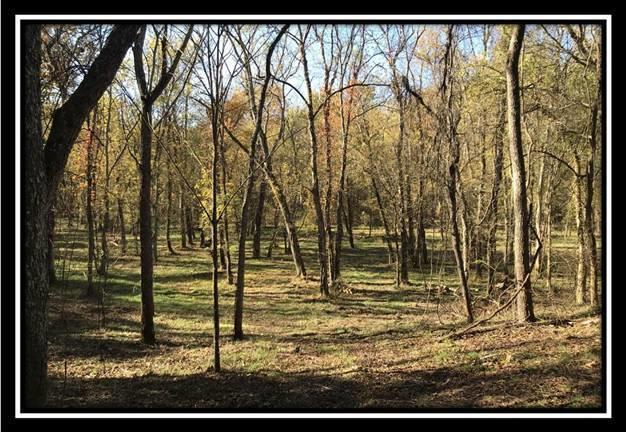 28161 Wheelabout Road McArthur, OH 45651 - Photo 14 of 27