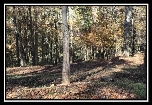 28161 Wheelabout Road McArthur, OH 45651 - Photo 16 of 27